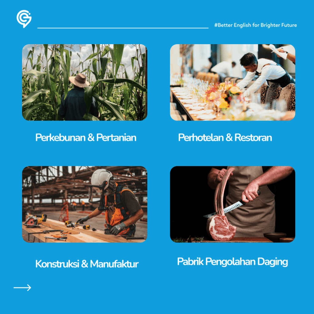 ilustrasi kerja di australia