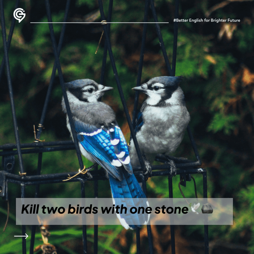 ilustrasi idiom bahasa inggris